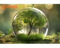 Về VNQS