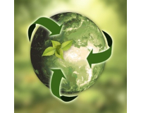 Cam kết sự bền vững