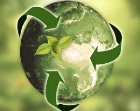 Cam kết sự bền vững